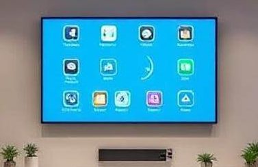 Smart Home Installation & Training Flat-screen TV mounted on a wall displaying various app icons with decorative plants below.